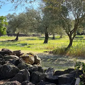 https://muristene-pozzo-santa-cristina.in-sardinia.net